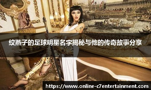 纹燕子的足球明星名字揭秘与他的传奇故事分享